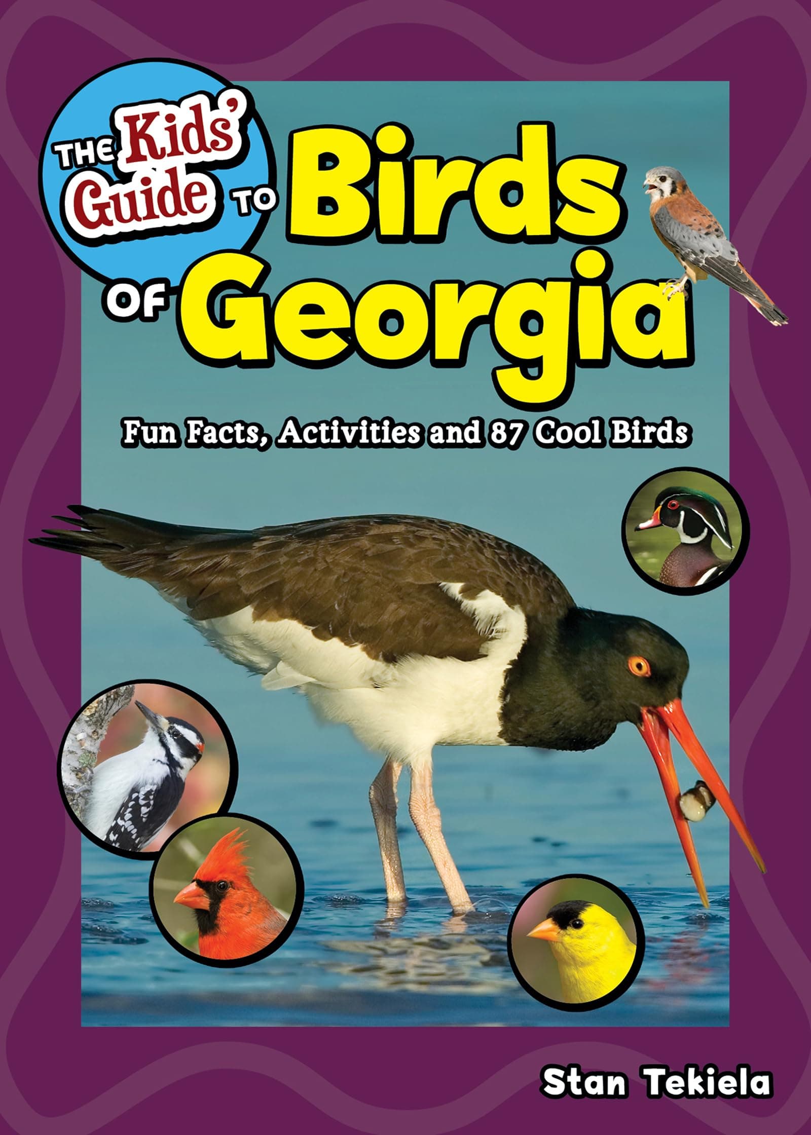 The Kids' Guide to Birds of Georgia: Fun Facts, Activities and 87 Cool Birds (Birding Children's Books)