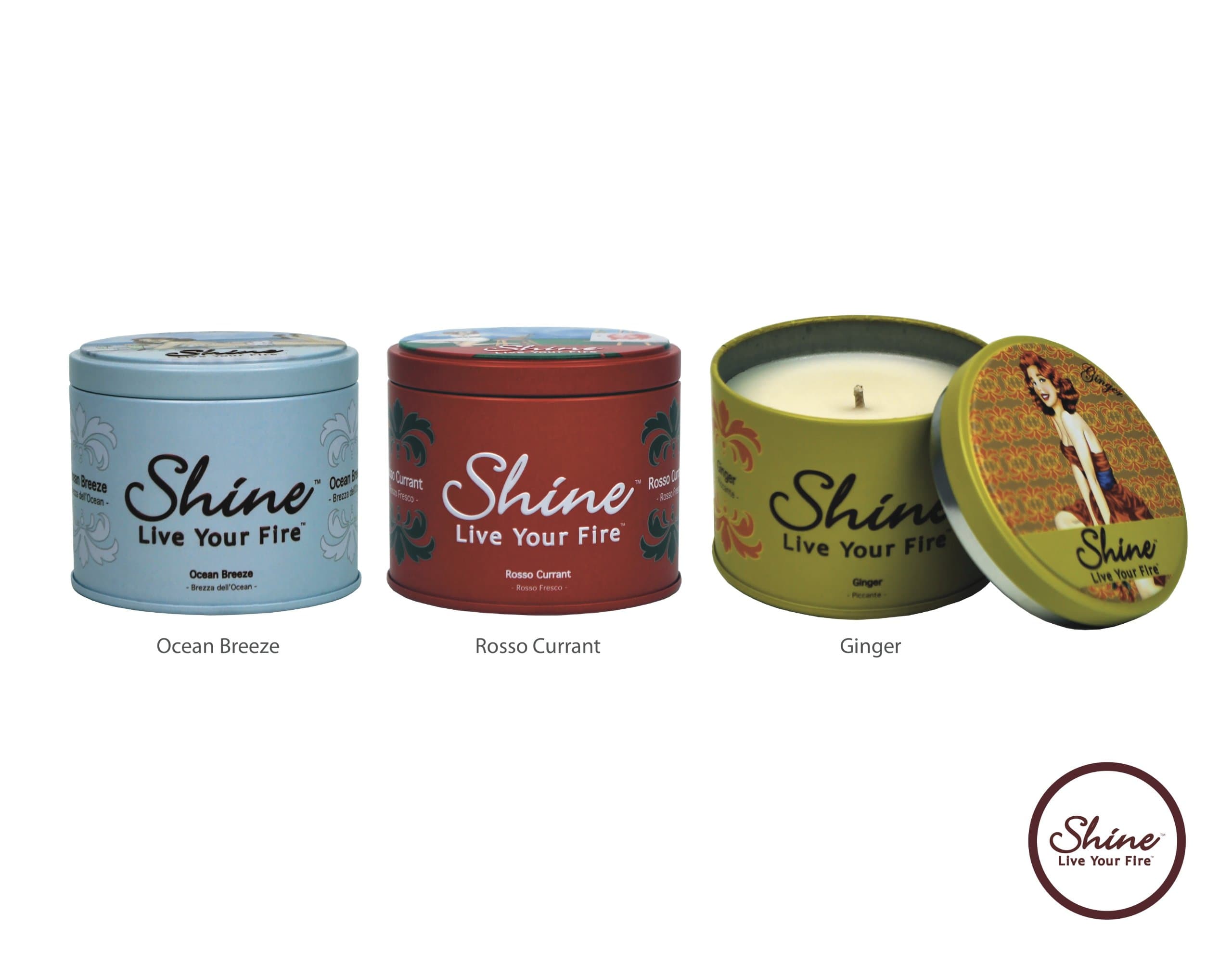 Shine Candles Premium Scented Soy Candles Jiminy Peek Memories Trio (Ocean Breeze, Rosso Currant, Ginger (6.2oz.)