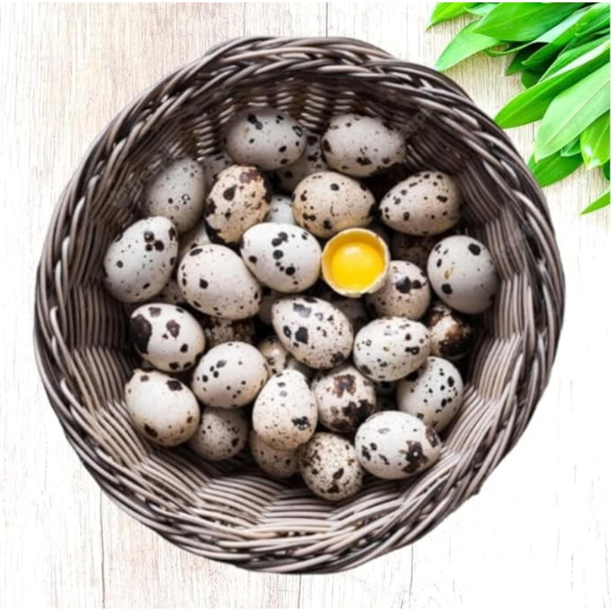 Farmfresh Quail Eggs, USA Laid, Hormone-Free, GMO Free, Pack of 12+