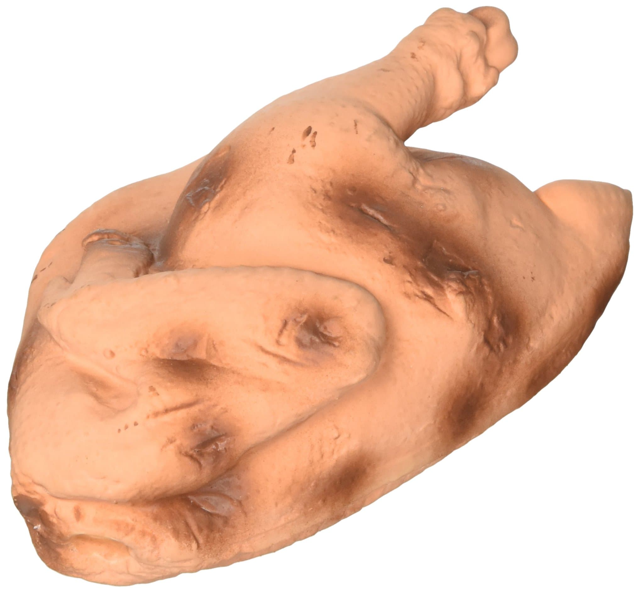 Scoochie Premium Dog Toy | Stuffed Latex Juicy Roaster Chicken | 7 Inch