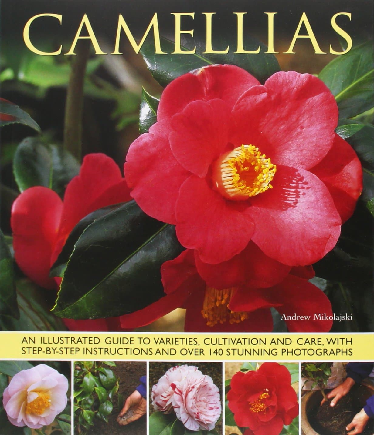 Camellias: An Illustrated Guide To Varieties, Cultivation And Care, With Step-By-Step Instructions And Over 140 Beautiful Photographs Paperback – November 7, 2014