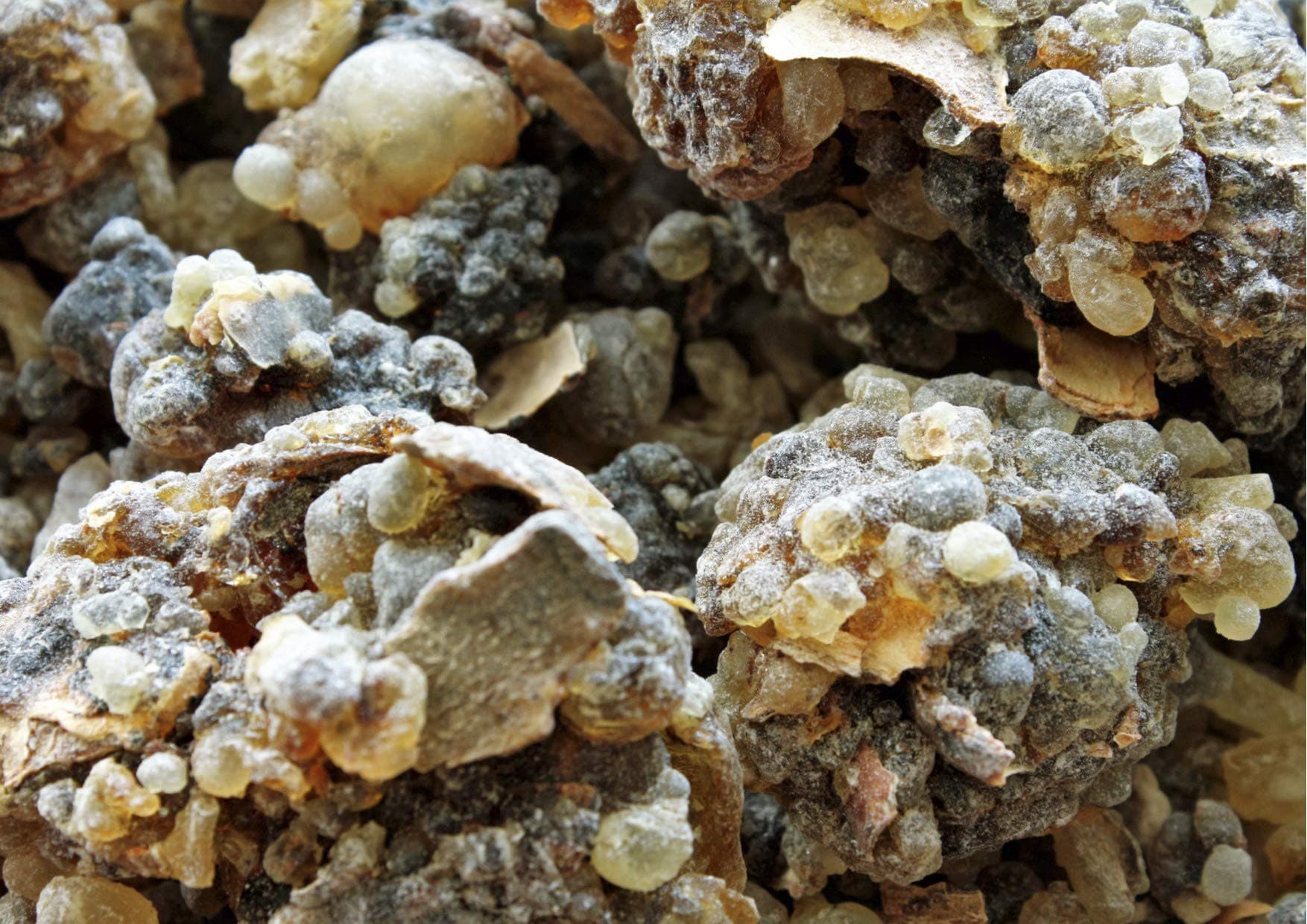 Certified Organic Black Hojari Frankincense Resin from Oman (Boswellia Sacra) (1/2 lb/Pound)