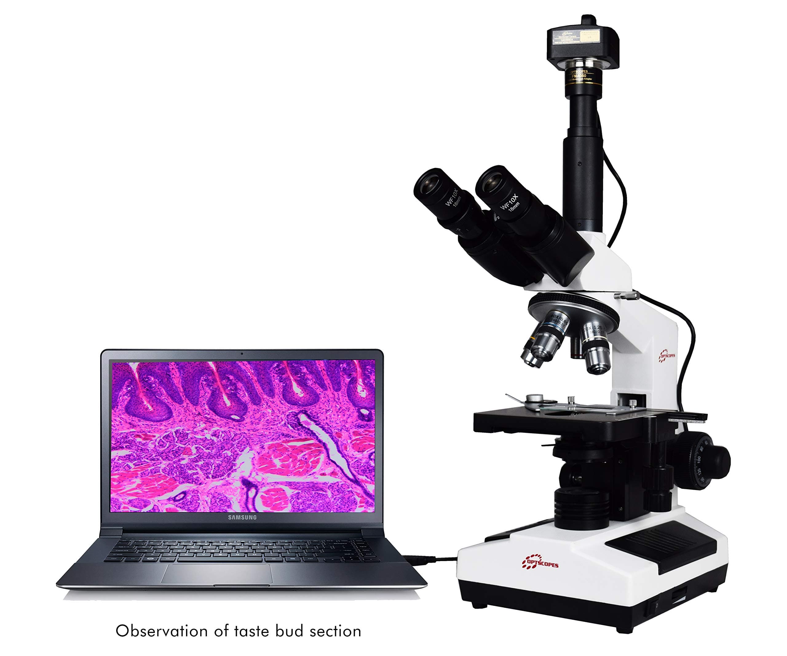 ESAW Optscopes Classic 40x-2000x Digital Microscope with 3.1MP IS-300 CMOS Camera for Education, Pathology, Research and Teaching