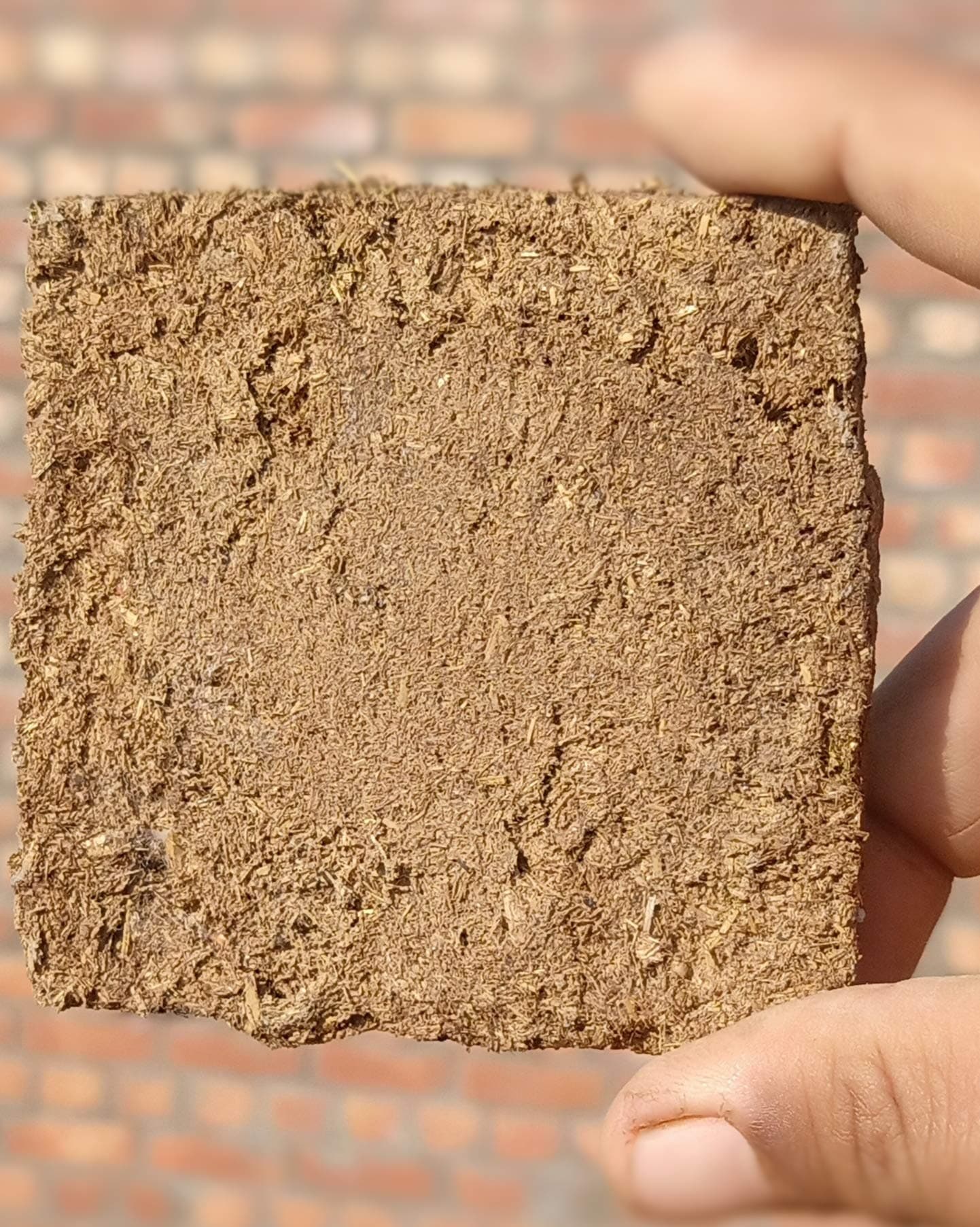 Pure & Original Desi Cow Dung Cake (12)