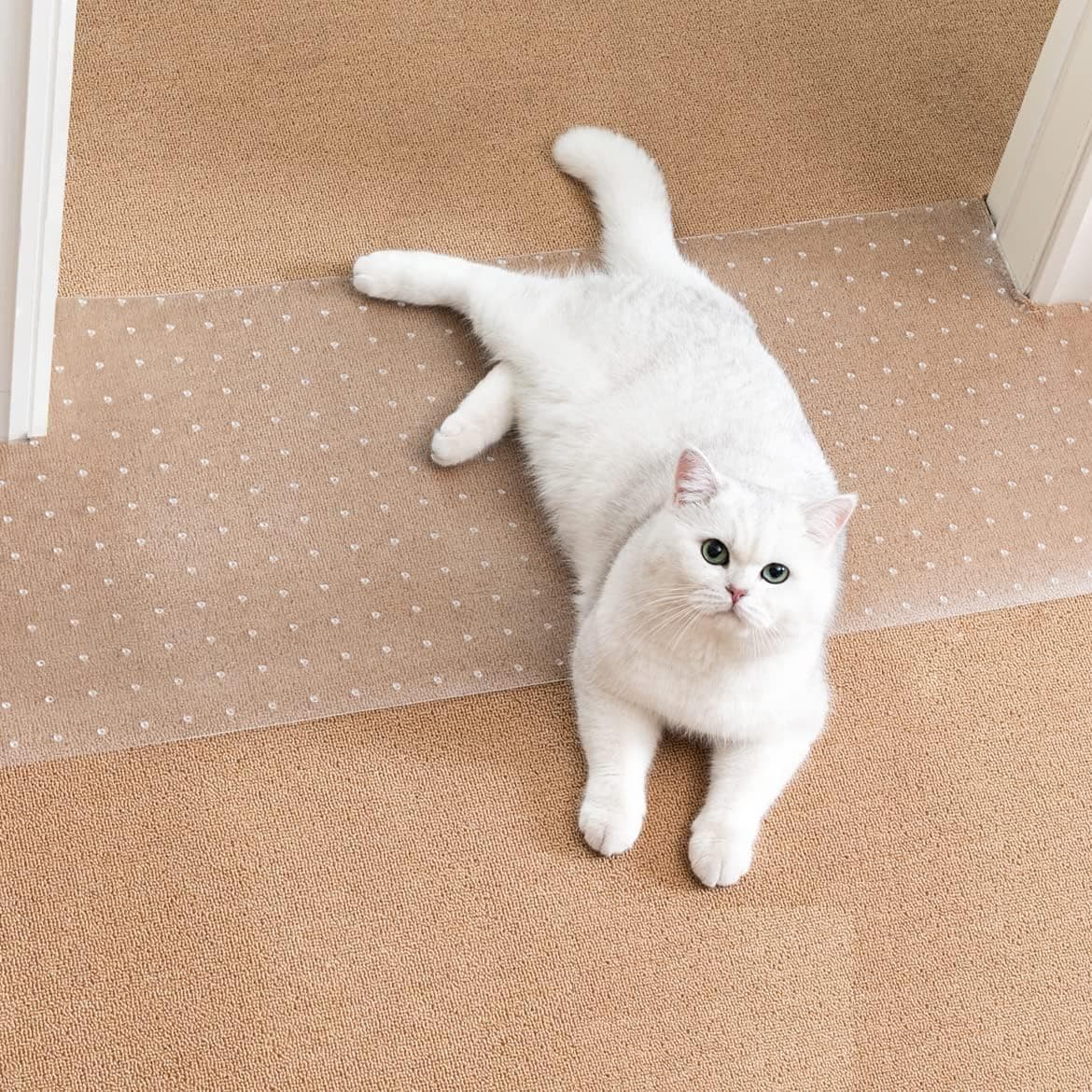 Uross Carpet Protector for Pets - Cat Scratch Guard Mat, Anti Scratch Under Door Guard, Easy to Cut Plastic, 3.6FT