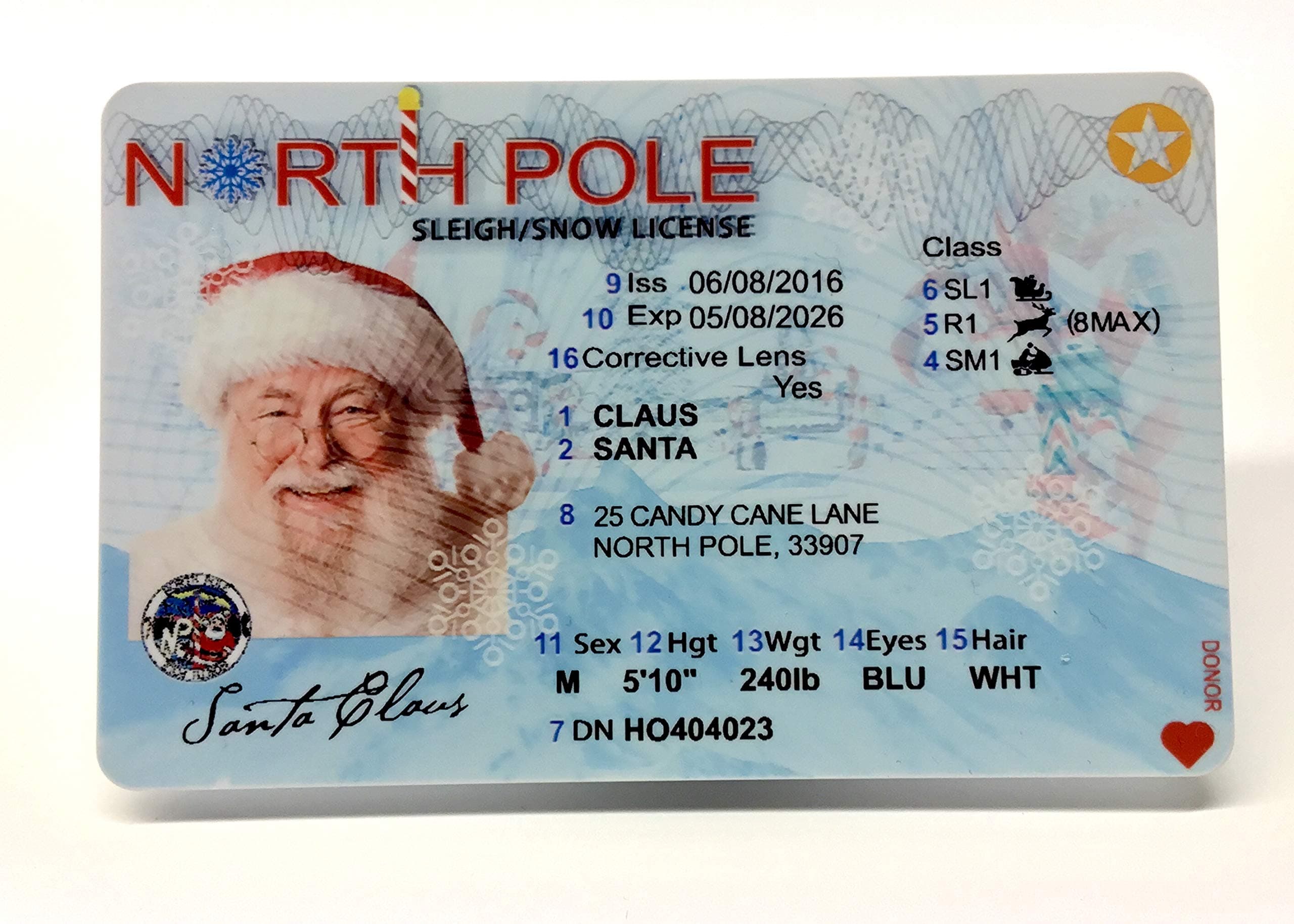 Official Santa's Lost Sleigh Licence or Driving License Father Christmas Eve Box Gift from Santa Himself